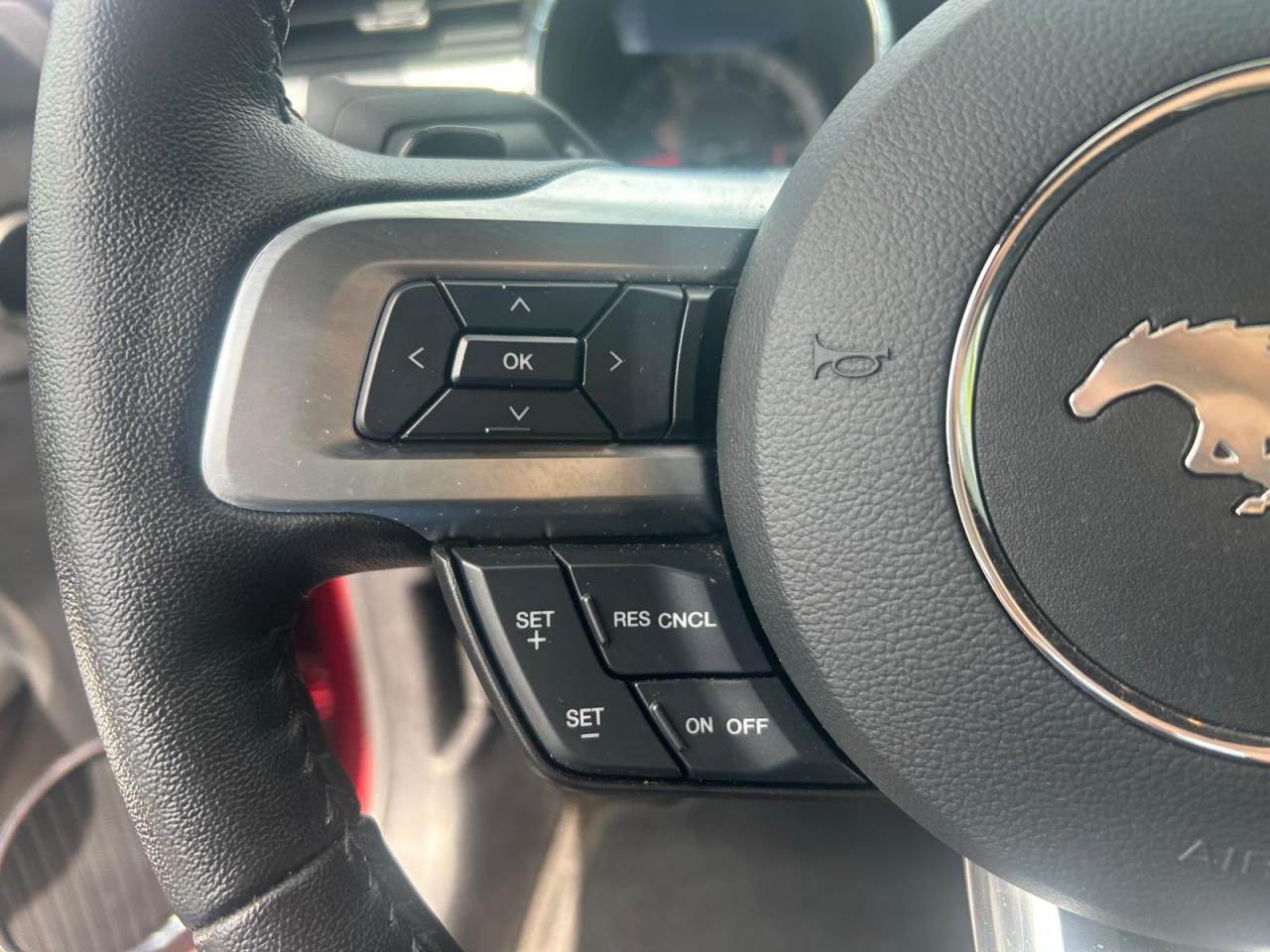 FORD MUSTANG GT Fastback V8 5.0L - Pas de malus