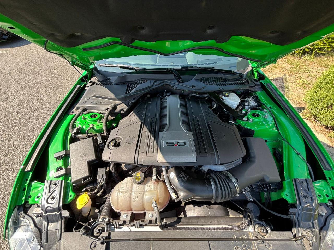 FORD MUSTANG GT FASTBACK 5.0L V8 BVM