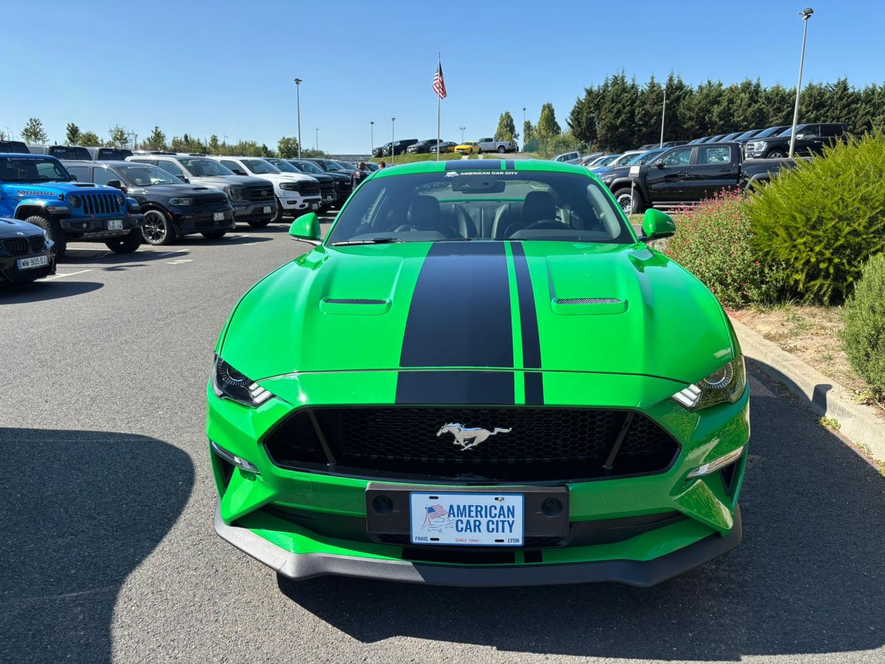 FORD MUSTANG GT FASTBACK 5.0L V8 BVM