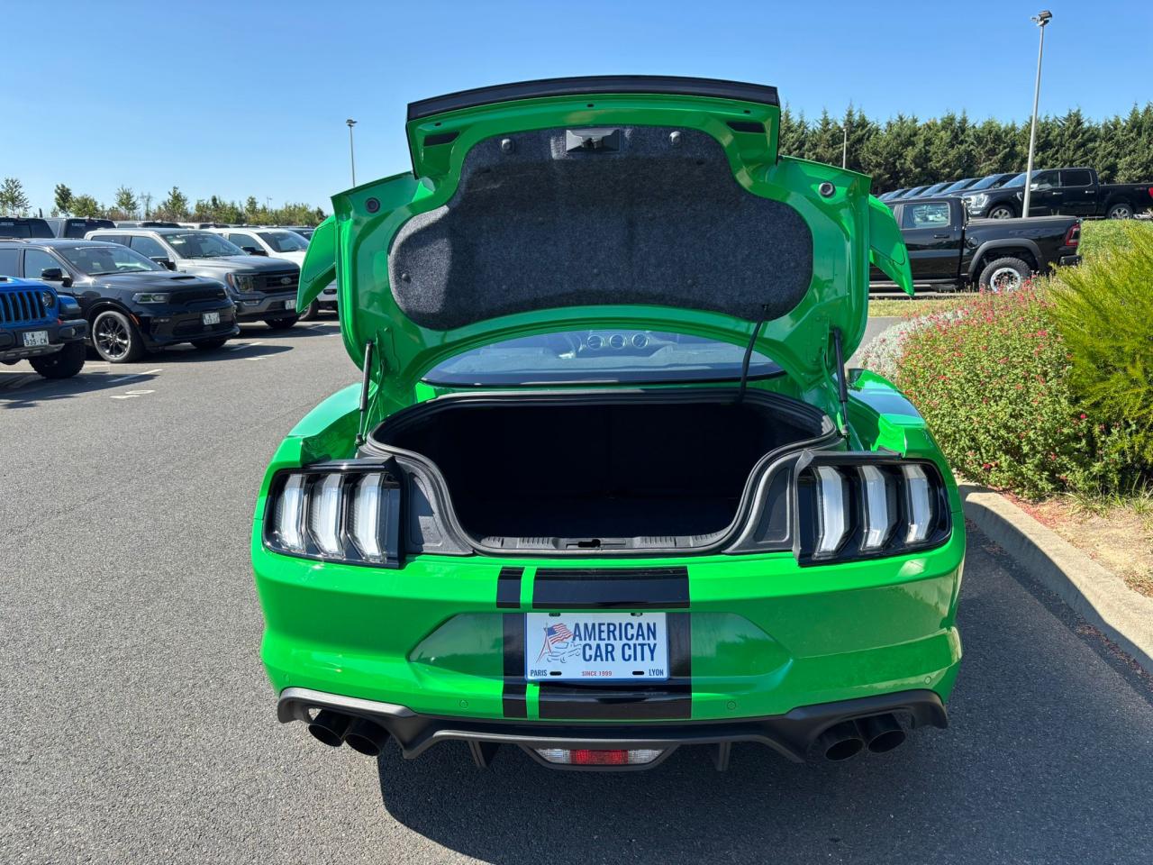 FORD MUSTANG GT FASTBACK 5.0L V8 BVM