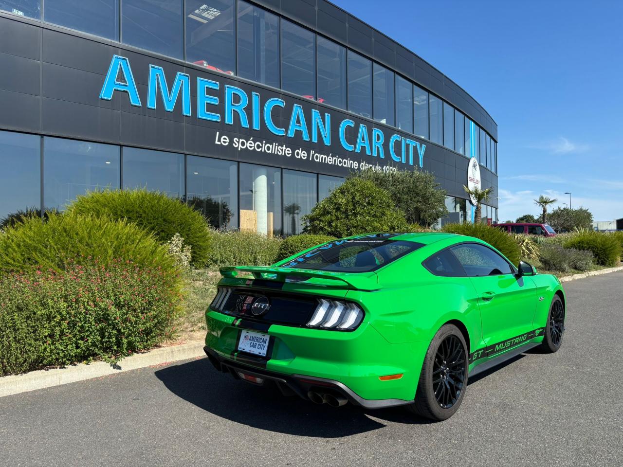FORD MUSTANG GT FASTBACK 5.0L V8 BVM