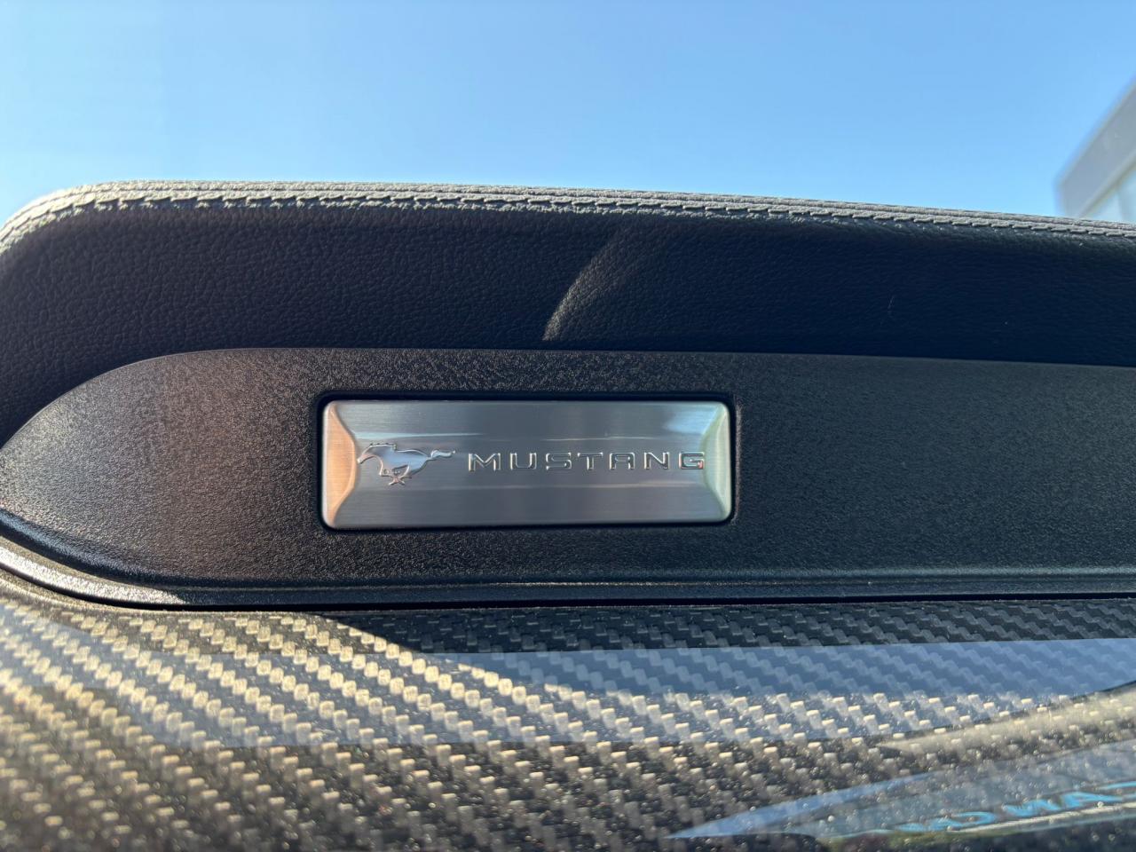 FORD MUSTANG GT FASTBACK 5.0L V8 BVM