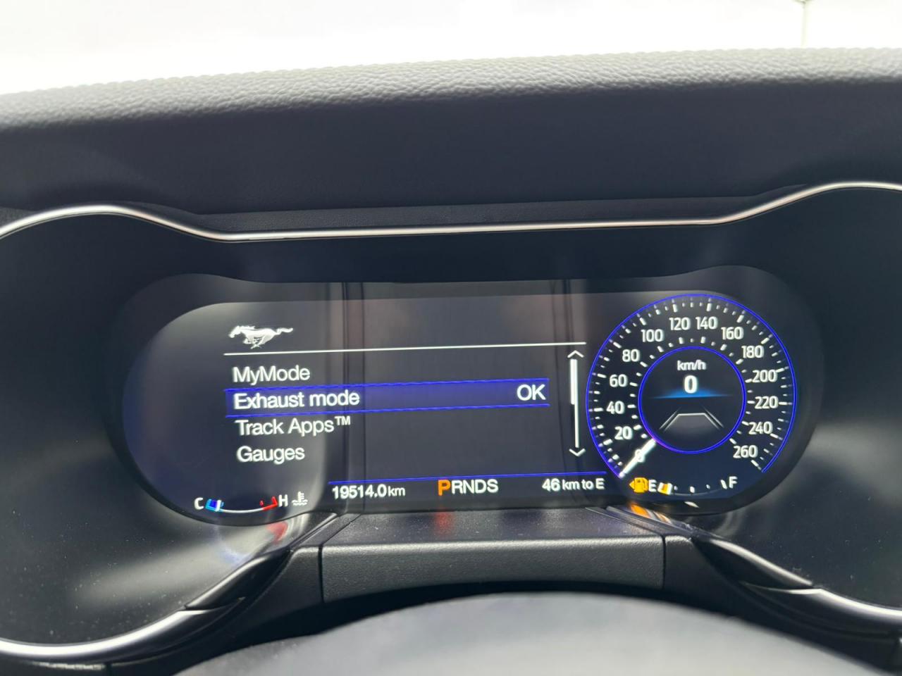 FORD MUSTANG GT fastback V8 5.0L