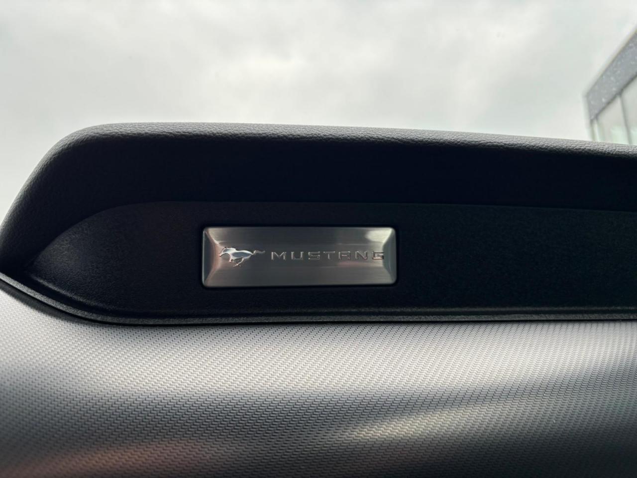 FORD MUSTANG GT fastback V8 5.0L