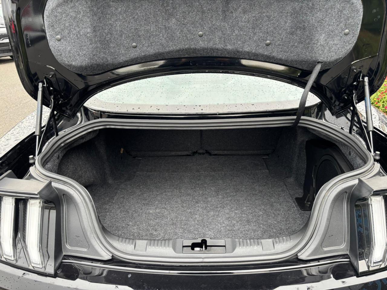 FORD MUSTANG GT fastback V8 5.0L