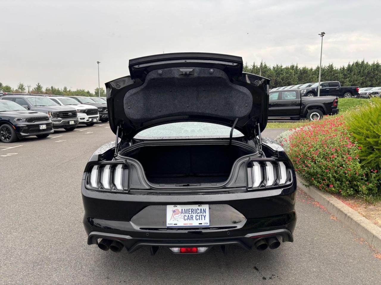 FORD MUSTANG GT fastback V8 5.0L