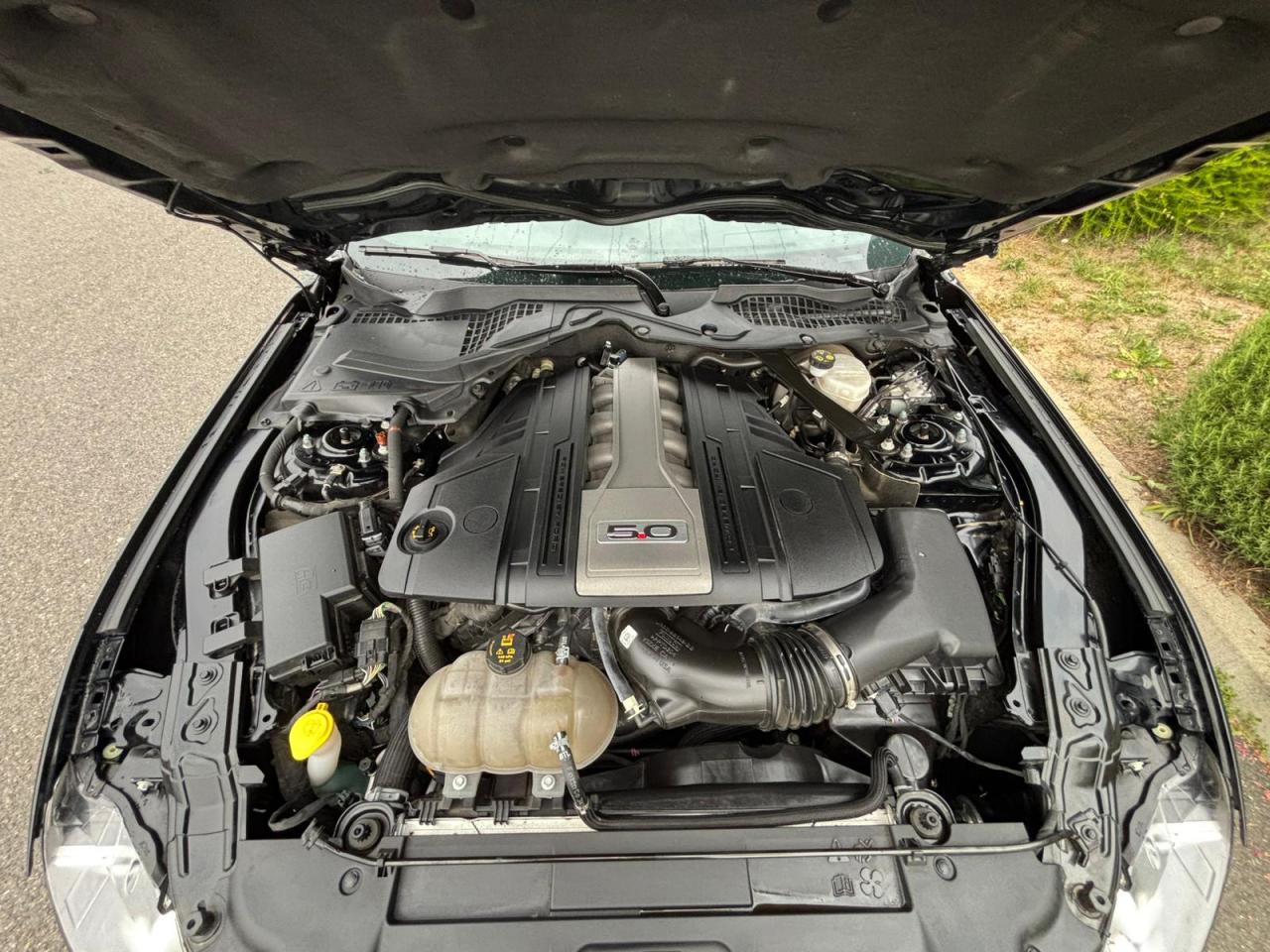 FORD MUSTANG GT fastback V8 5.0L