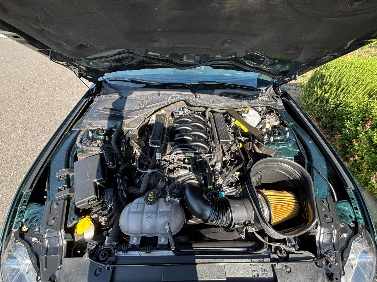 FORD MUSTANG Fastback 5.0 V8 - BULLITT - MAGNERIDE