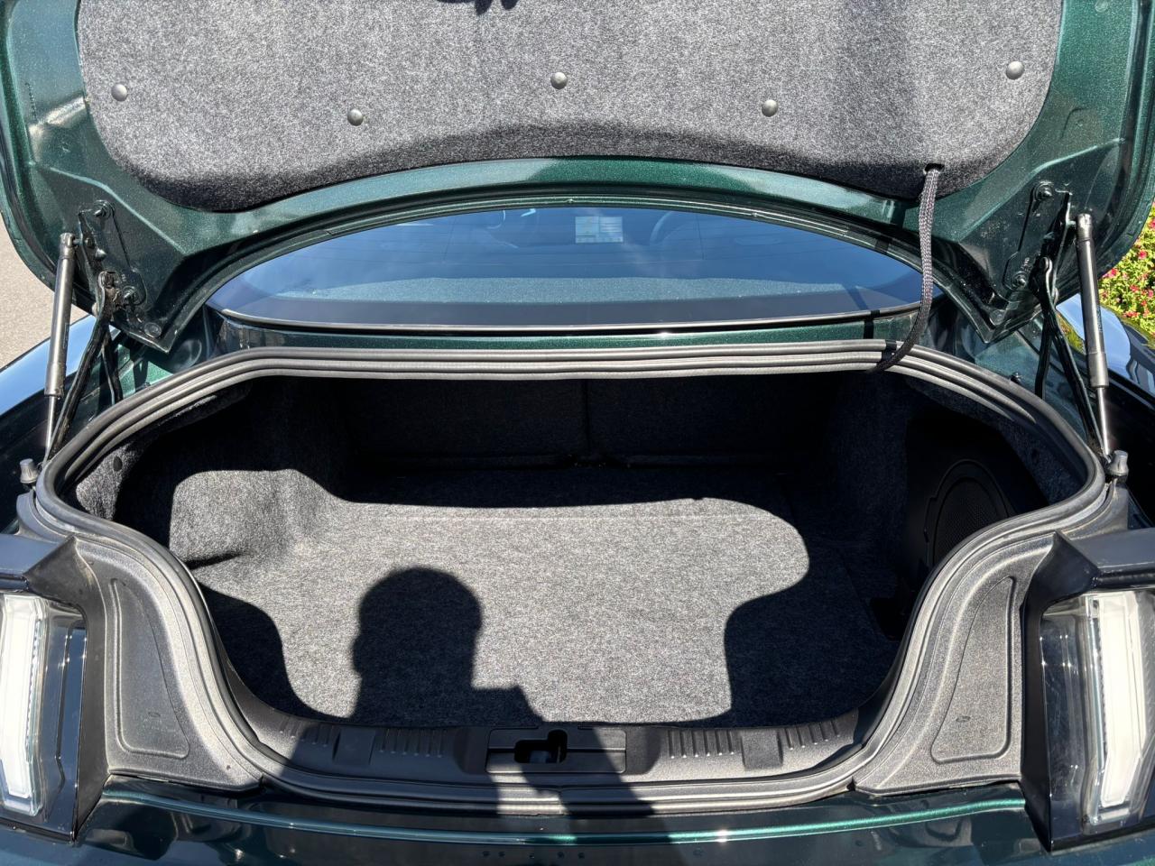 FORD MUSTANG Fastback 5.0 V8 - BULLITT - MAGNERIDE