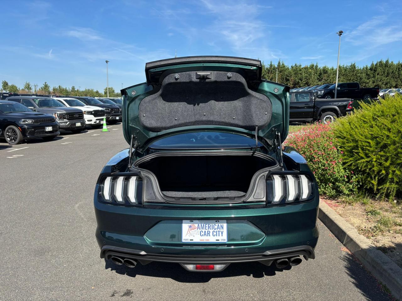 FORD MUSTANG Fastback 5.0 V8 - BULLITT - MAGNERIDE