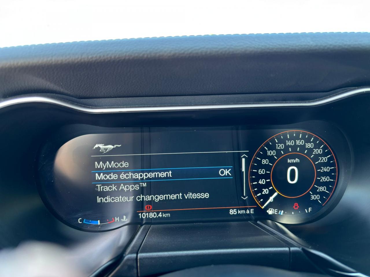 FORD MUSTANG Fastback 5.0 V8 - BULLITT - MAGNERIDE