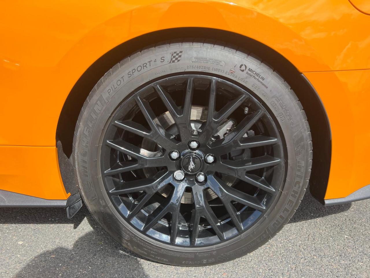 FORD MUSTANG GT FASTBACK V8 5.0L MAGNERIDE