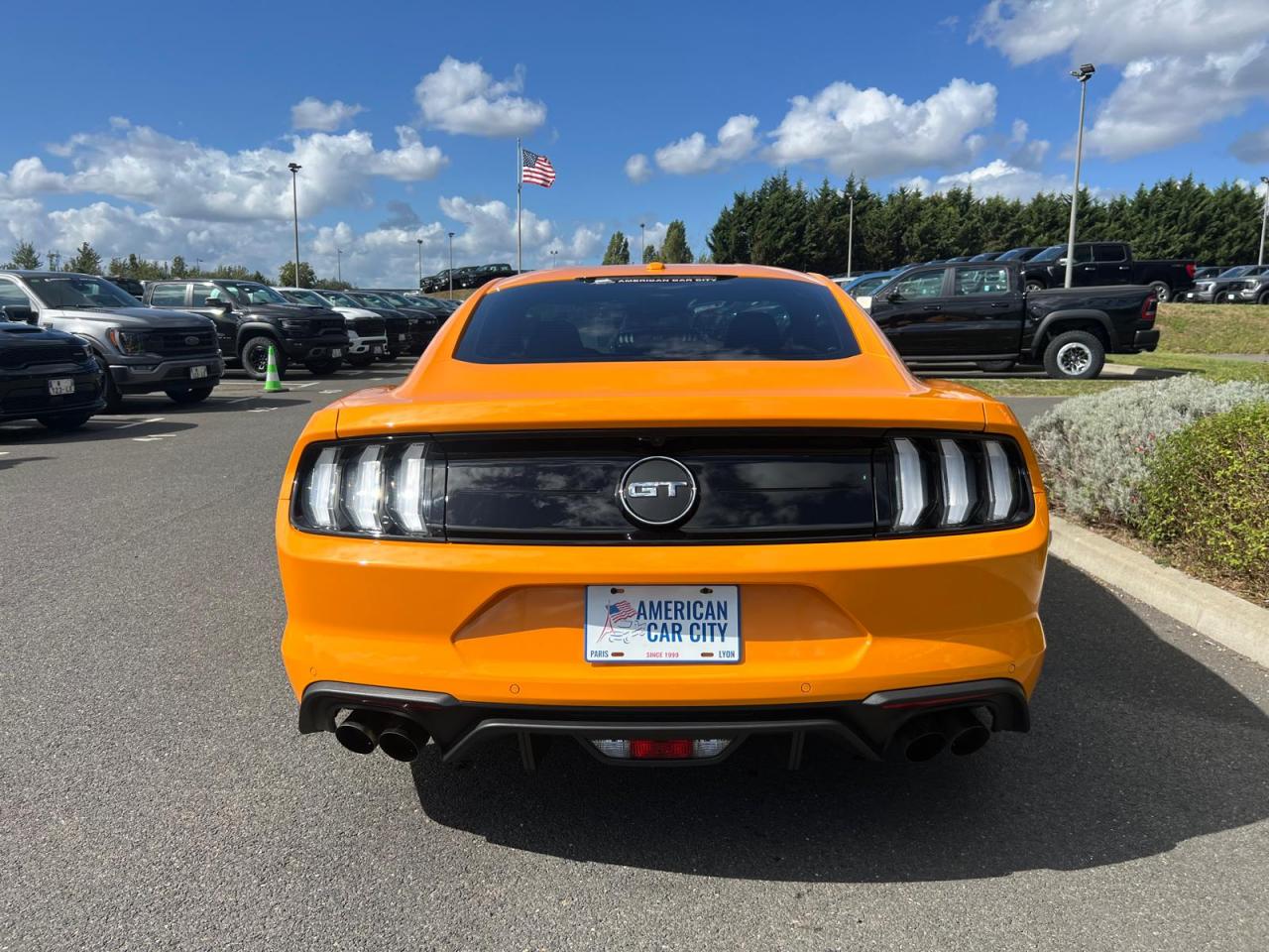 FORD MUSTANG GT FASTBACK V8 5.0L MAGNERIDE