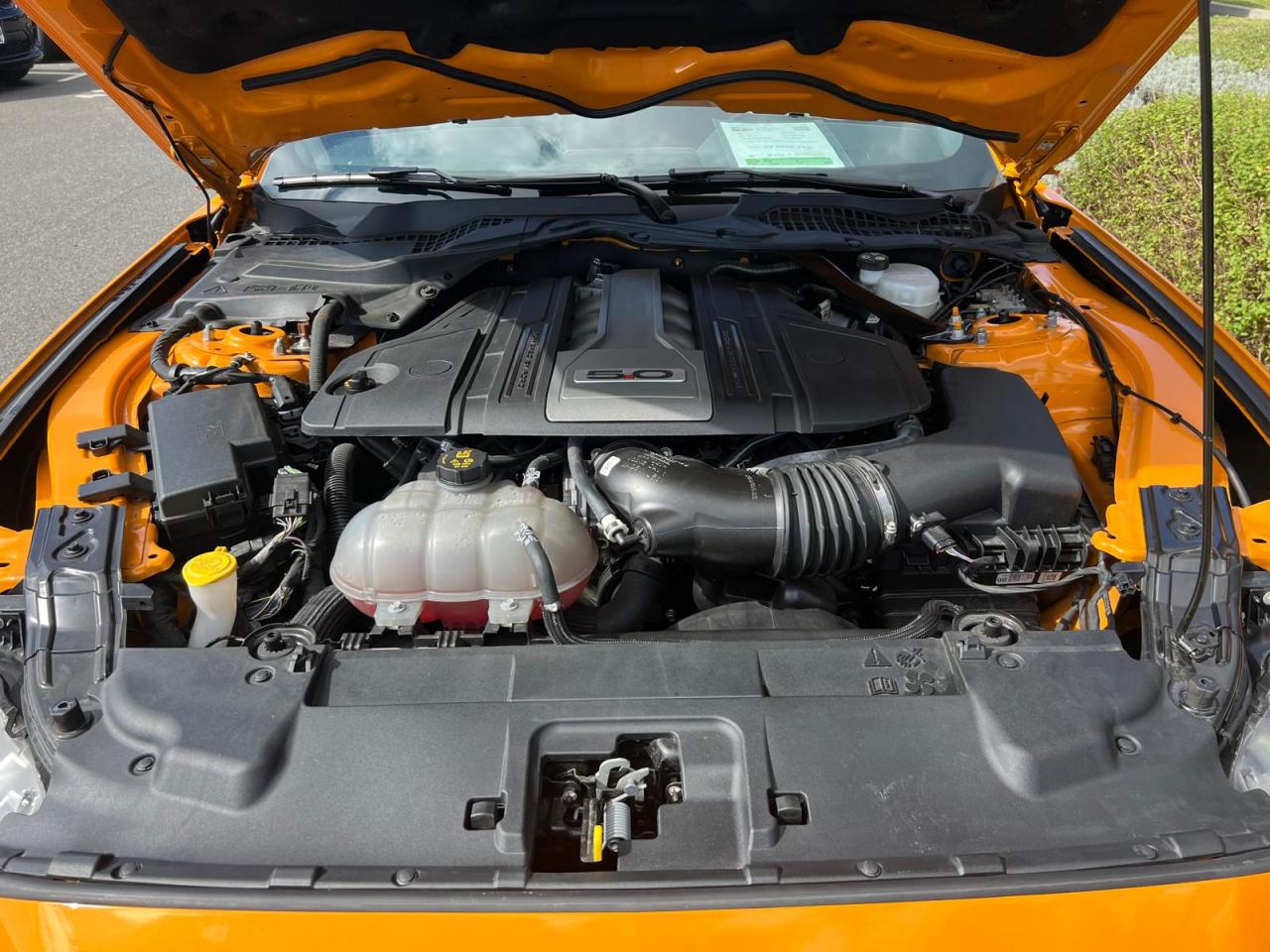 FORD MUSTANG GT FASTBACK V8 5.0L MAGNERIDE