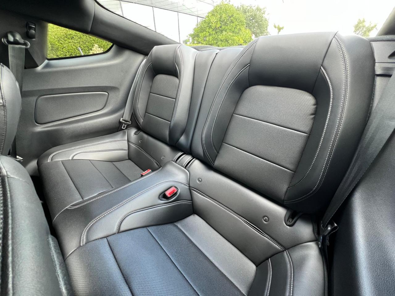 FORD MUSTANG GT fastback V8 5.0L MAGNERIDE