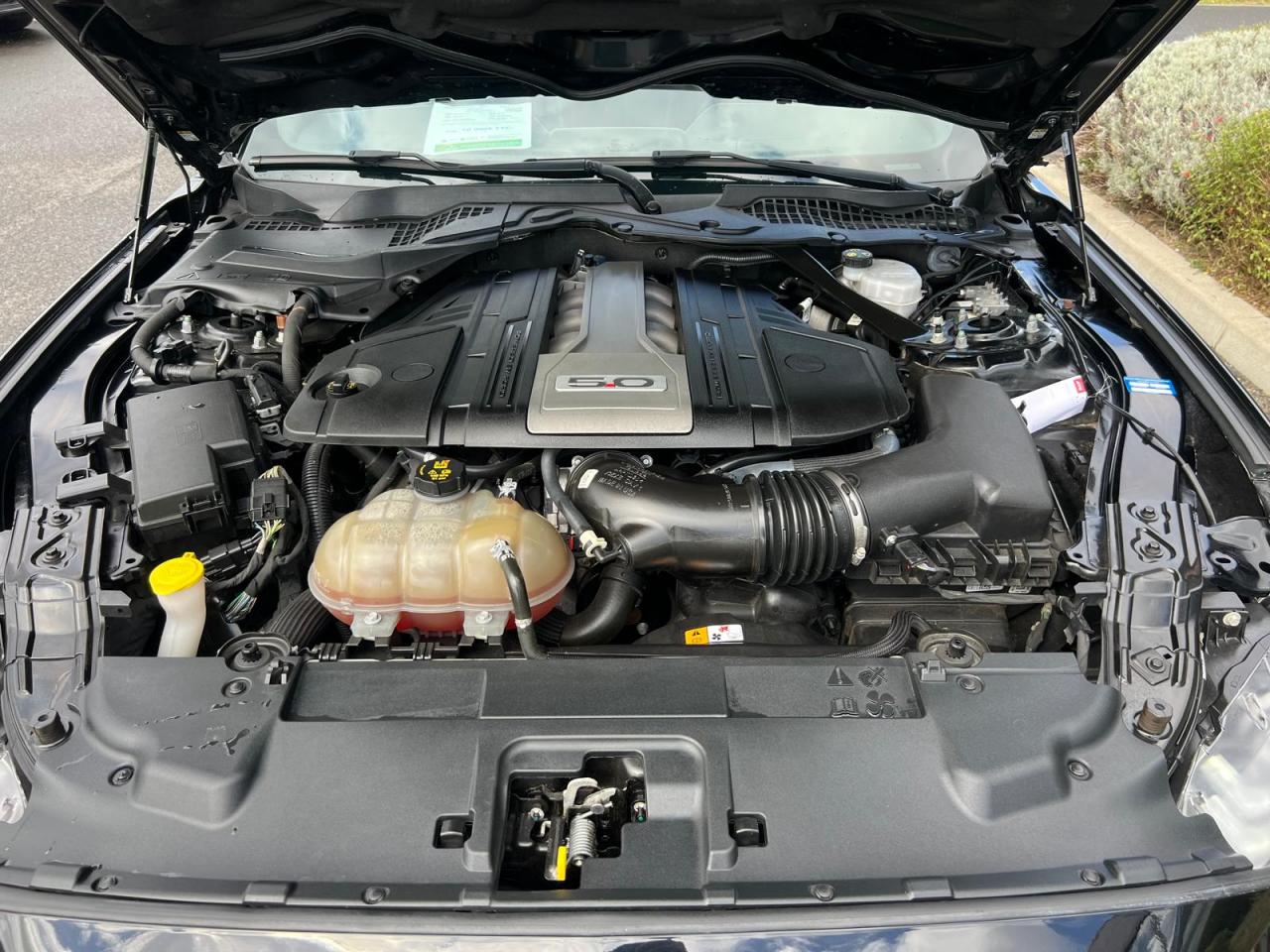 FORD MUSTANG GT fastback V8 5.0L MAGNERIDE