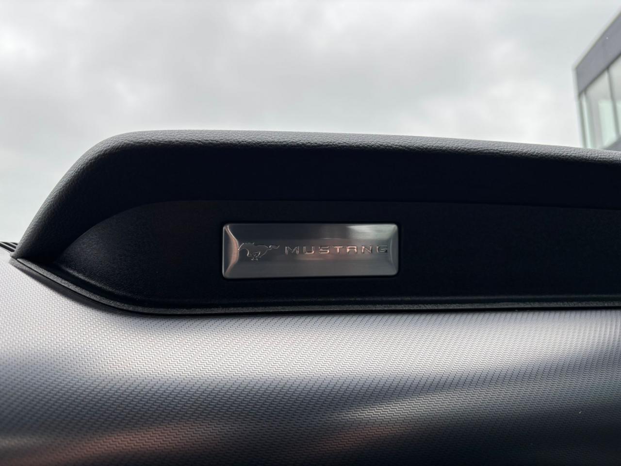 FORD MUSTANG GT V8 5.0L BVM 2018 - MALUS PAYE