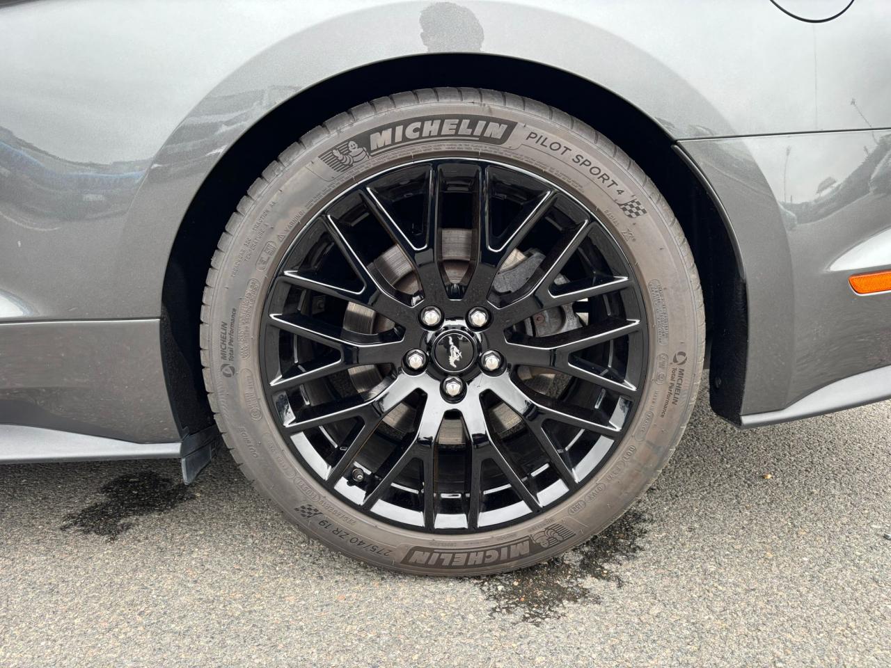 FORD MUSTANG GT V8 5.0L BVM 2018 - MALUS PAYE