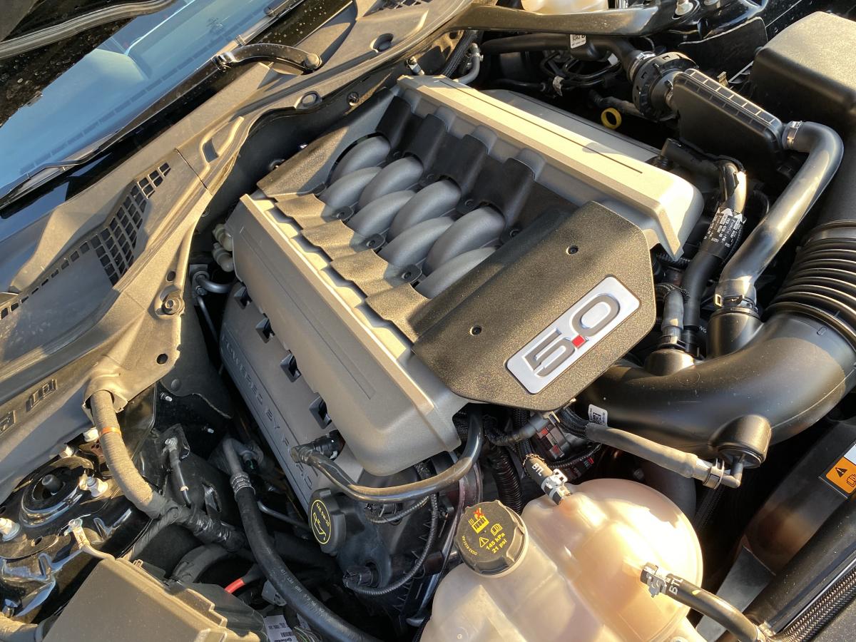 FORD MUSTANG GT FASTBACK V8 5.0L BVM 2016