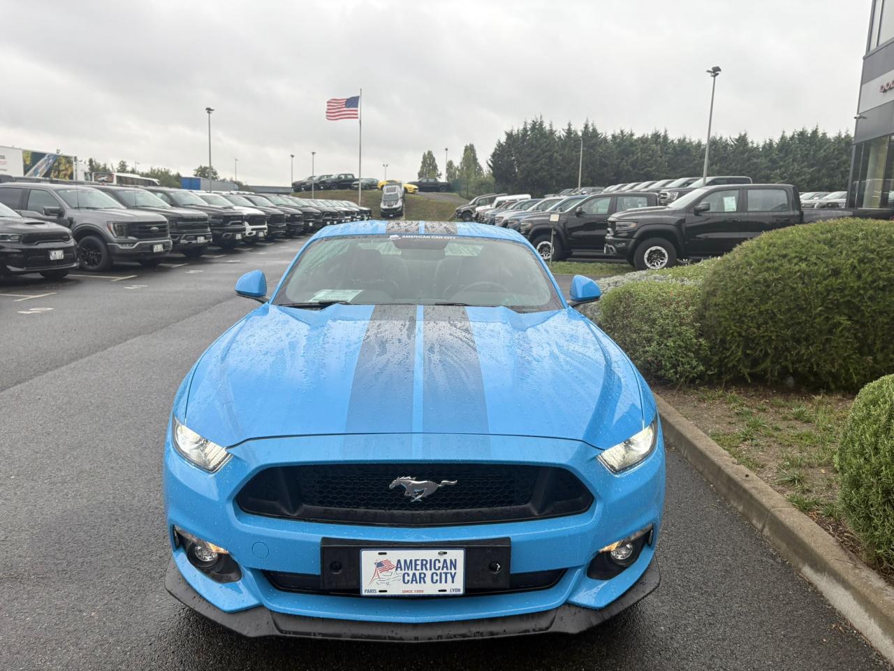 FORD MUSTANG GT Fastback V8 5.0L BLACK SHADOW EDITION