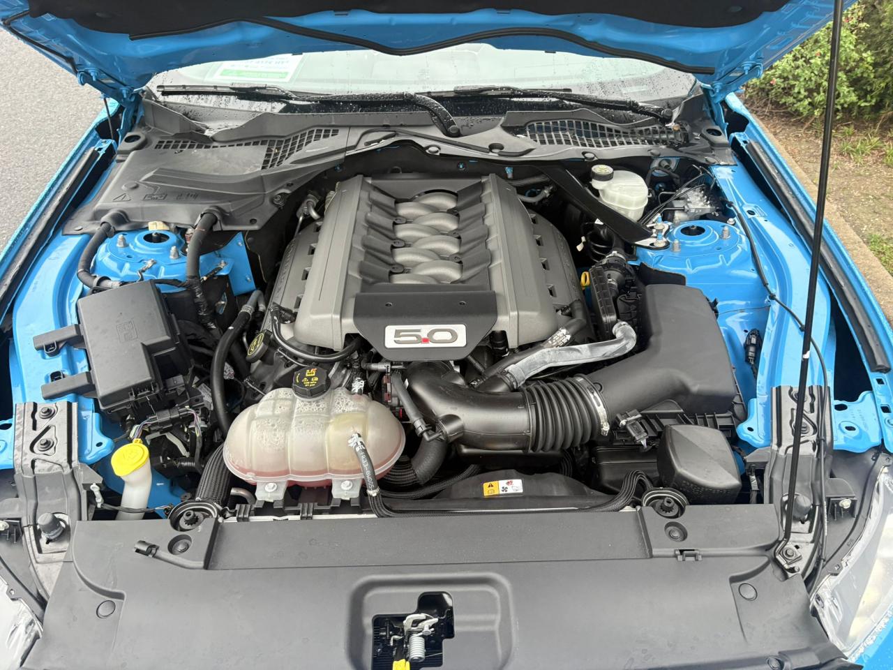 FORD MUSTANG GT Fastback V8 5.0L BLACK SHADOW EDITION