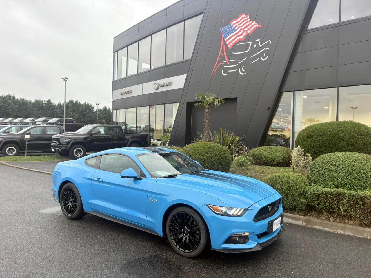 FORD MUSTANG GT Fastback V8 5.0L BLACK SHADOW EDITION