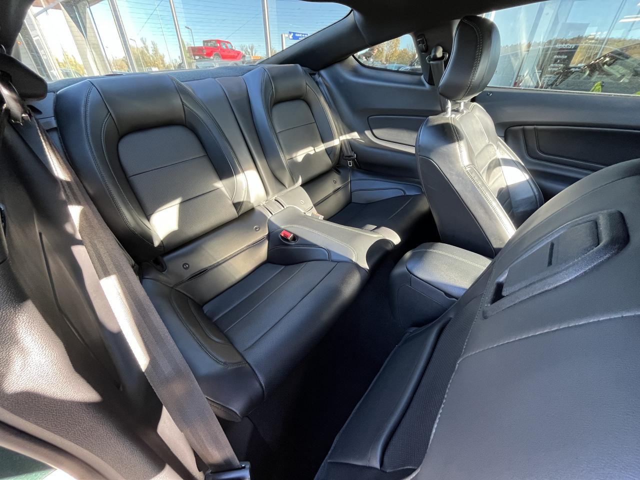 FORD MUSTANG BULLITT V8 5.0L - MAGNERIDE