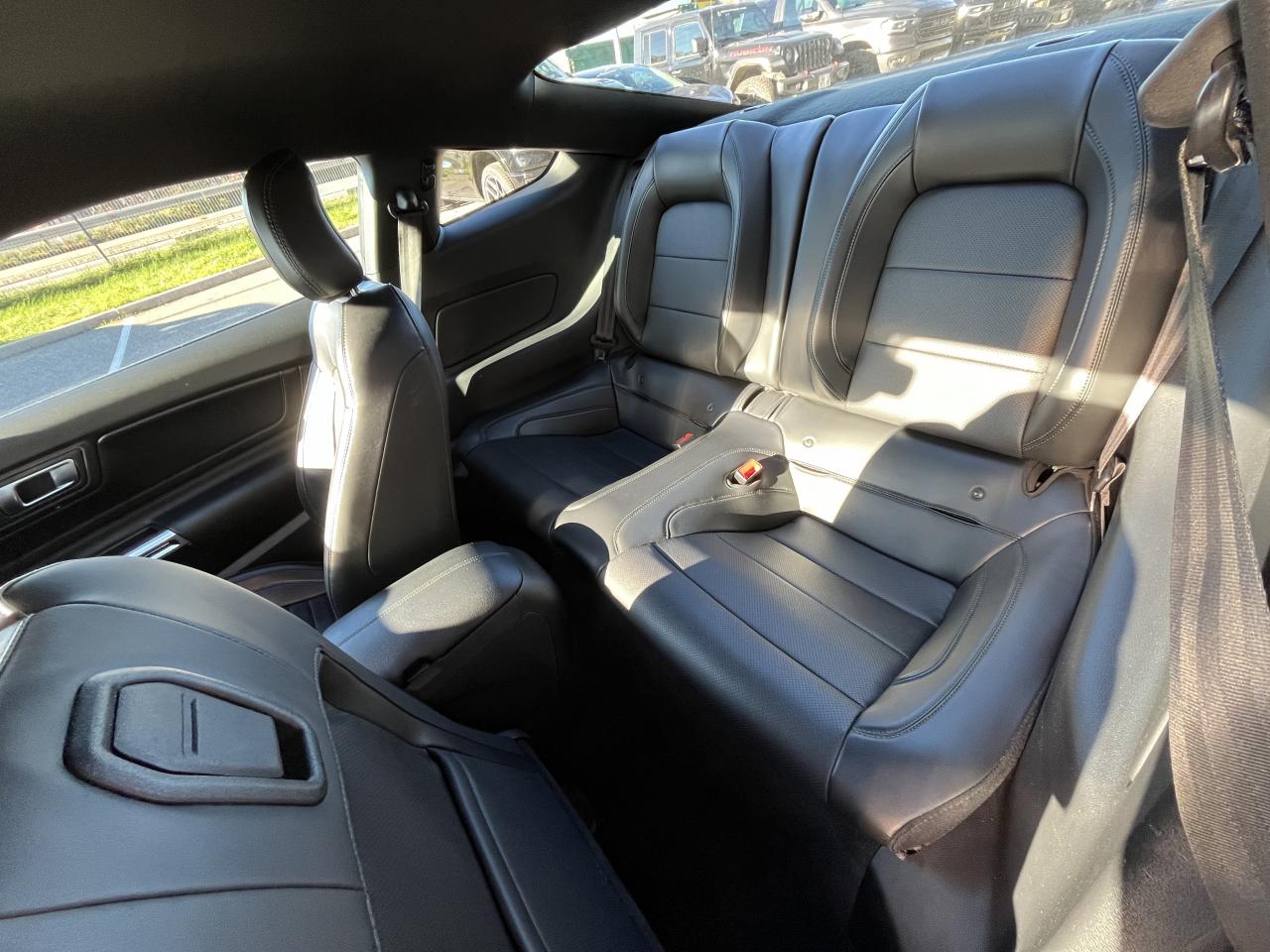 FORD MUSTANG BULLITT V8 5.0L - MAGNERIDE