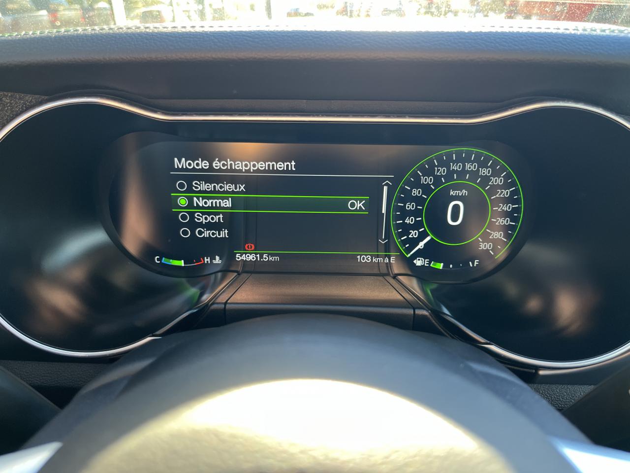 FORD MUSTANG BULLITT V8 5.0L - MAGNERIDE