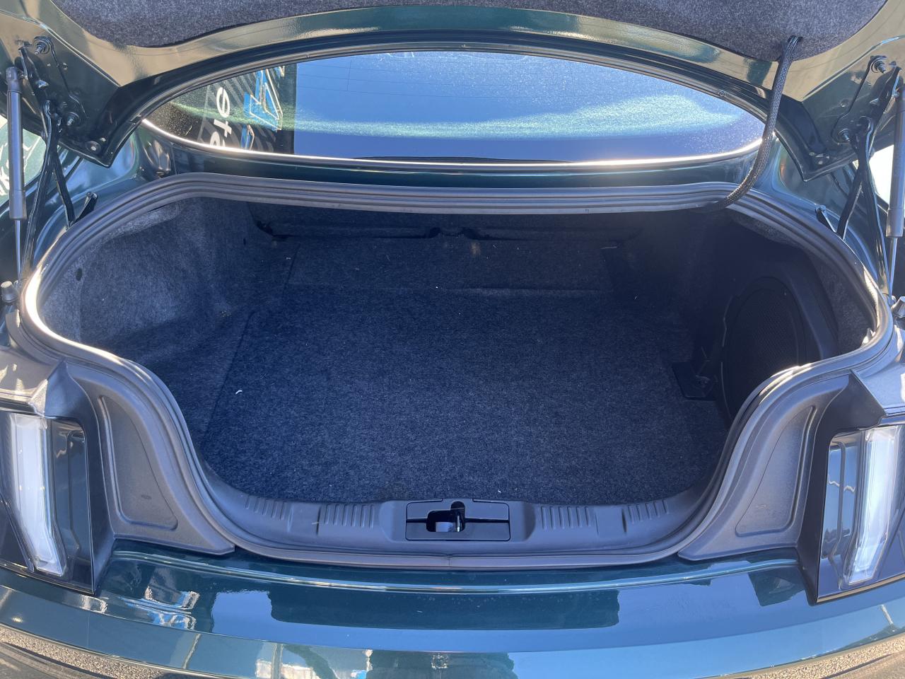 FORD MUSTANG BULLITT V8 5.0L - MAGNERIDE