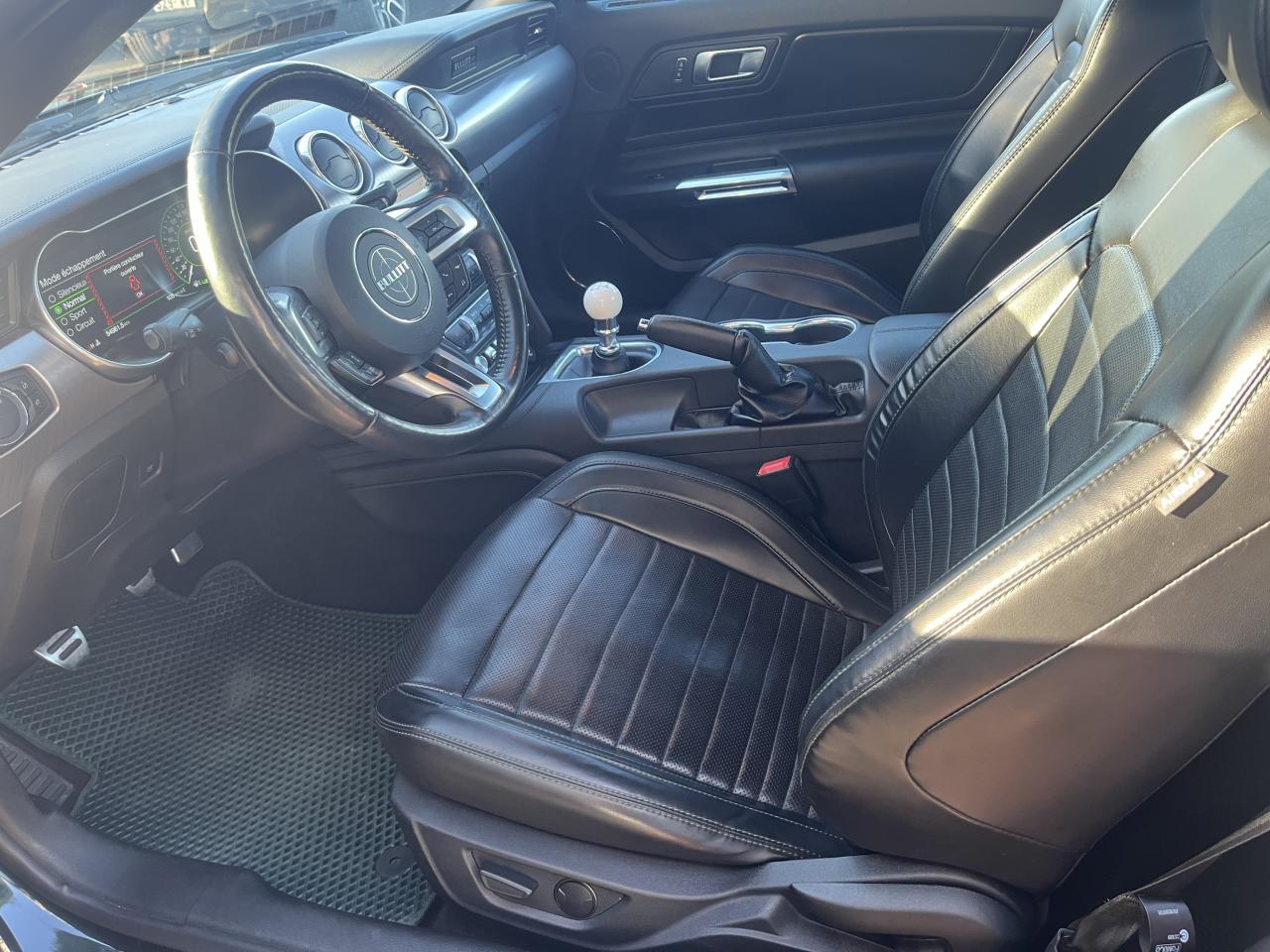 FORD MUSTANG BULLITT V8 5.0L - MAGNERIDE