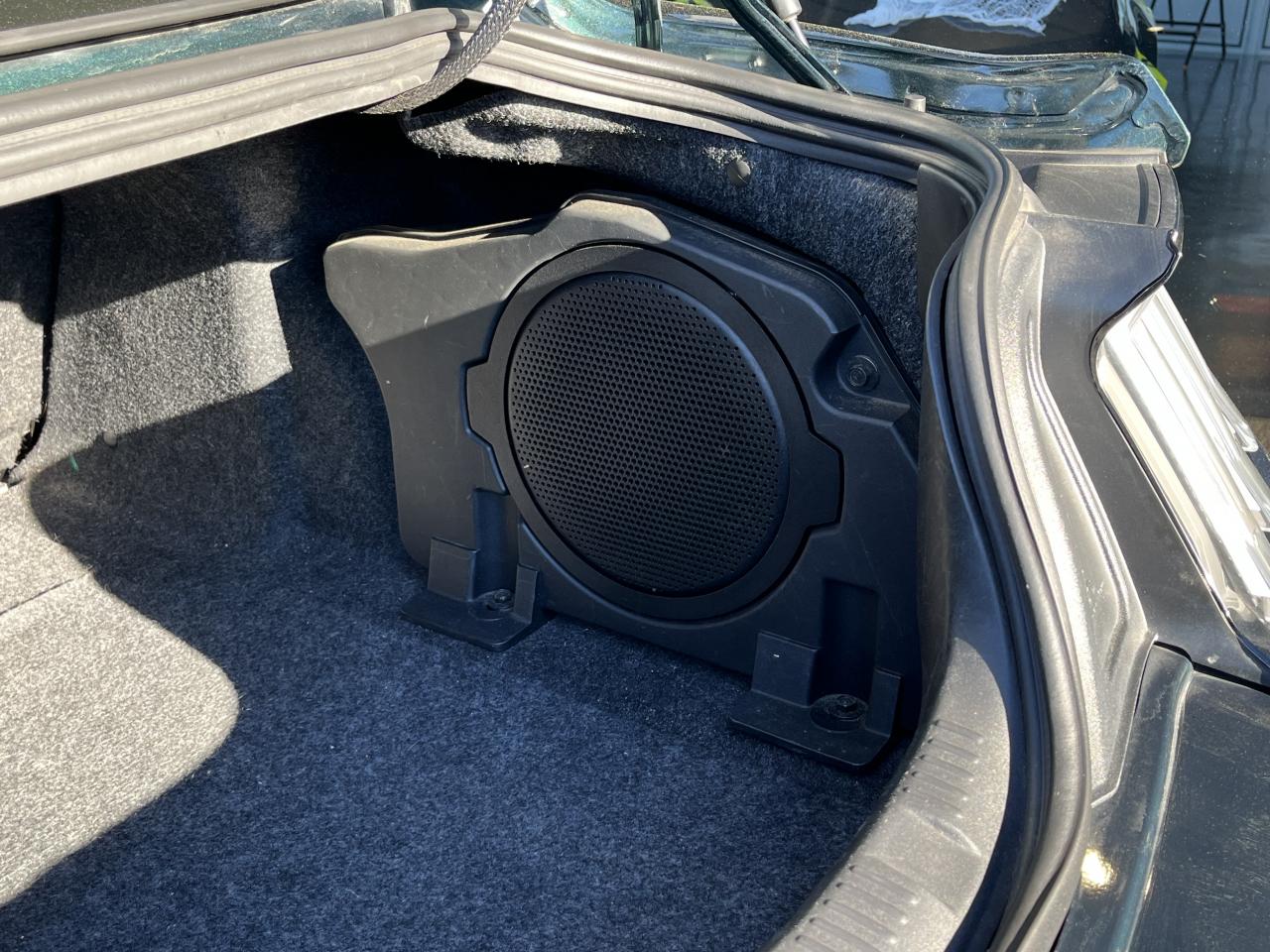 FORD MUSTANG BULLITT V8 5.0L - MAGNERIDE