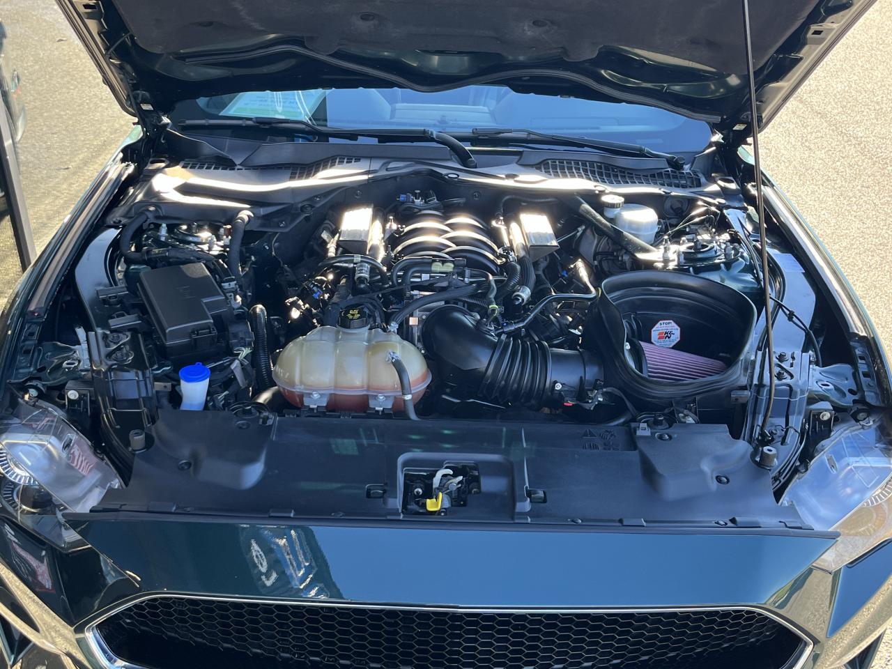 FORD MUSTANG BULLITT V8 5.0L - MAGNERIDE