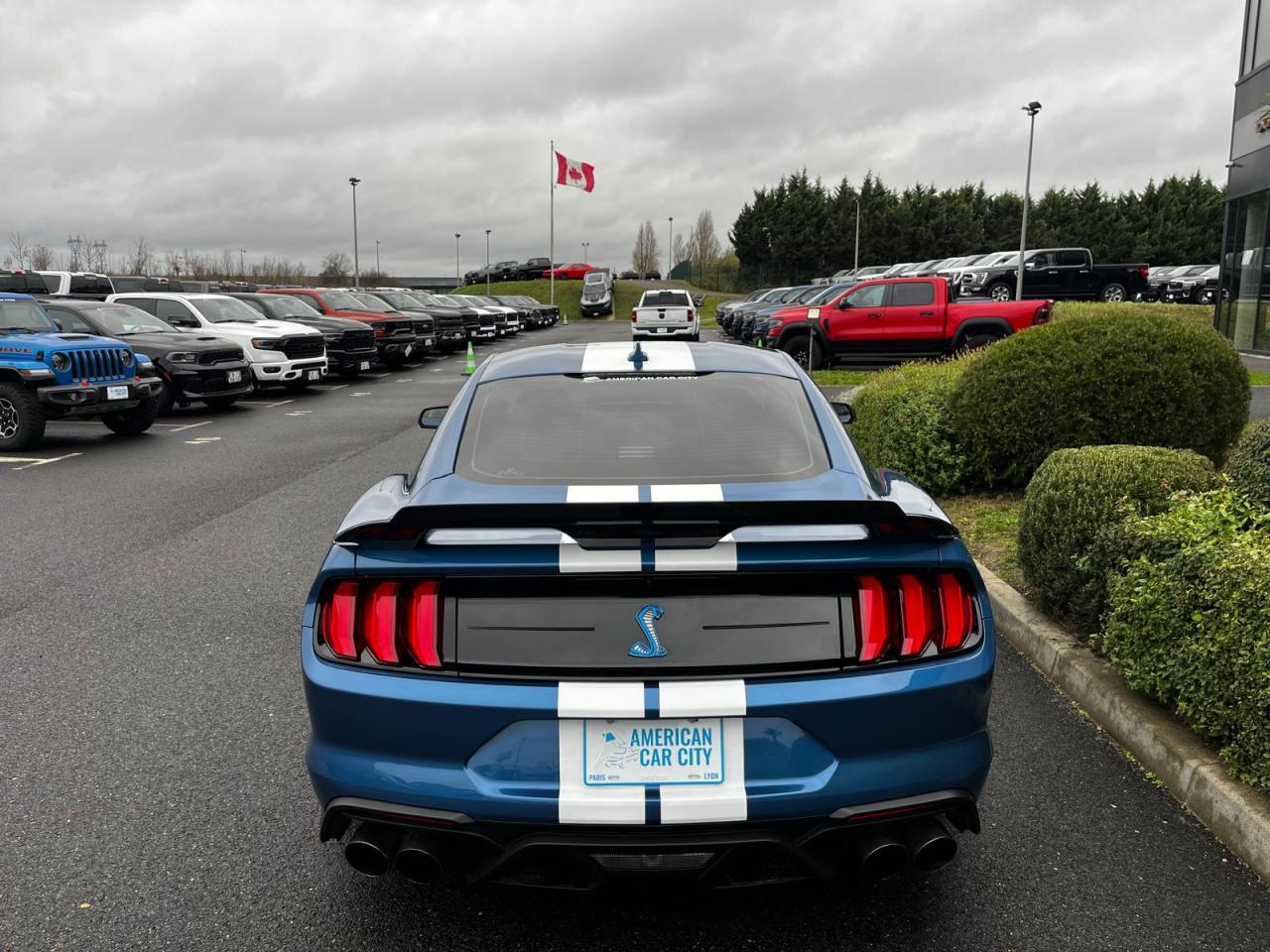 FORD MUSTANG Shelby GT500 V8 5.2L 760ch