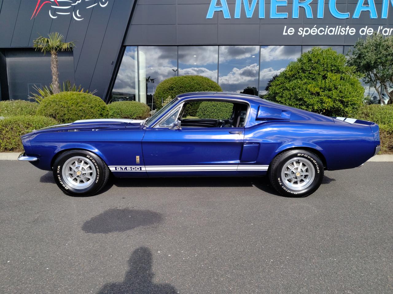 FORD MUSTANG SHELBY GT500 authentique