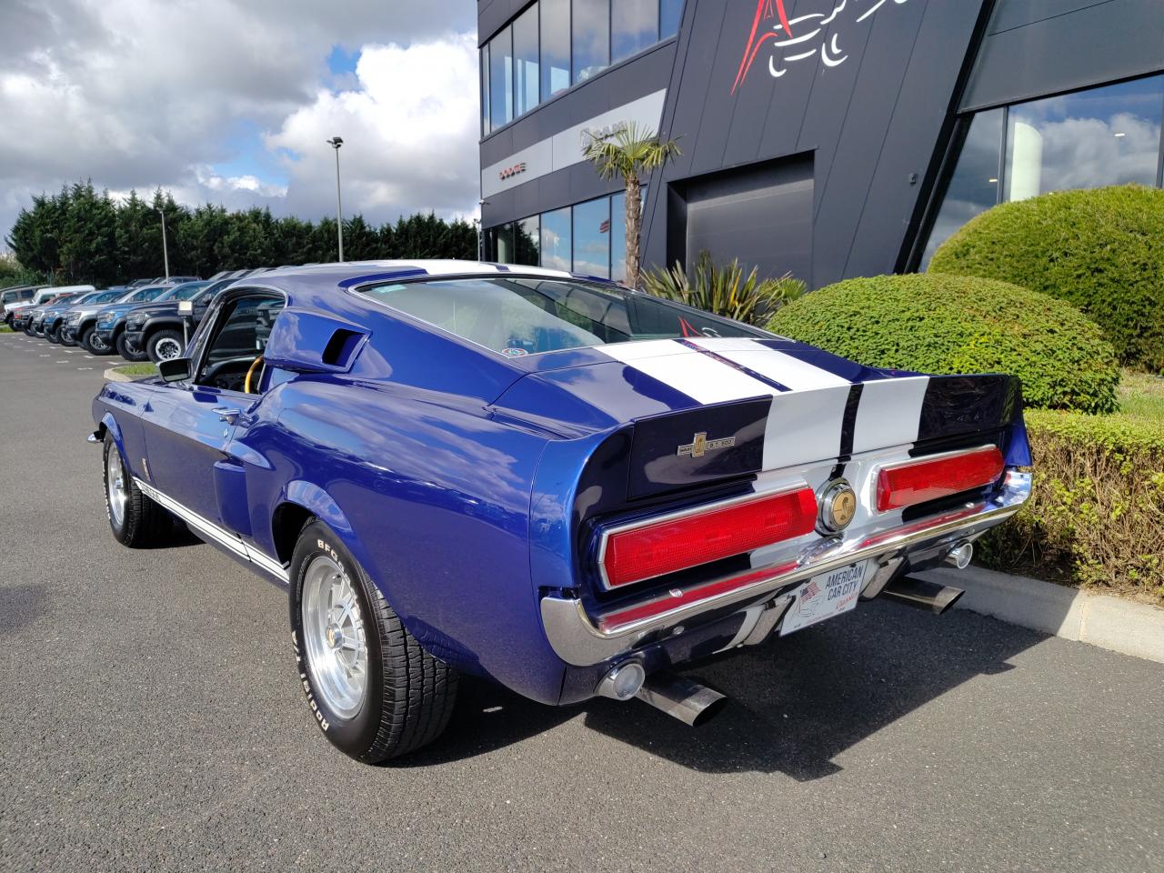 FORD MUSTANG SHELBY GT500 authentique