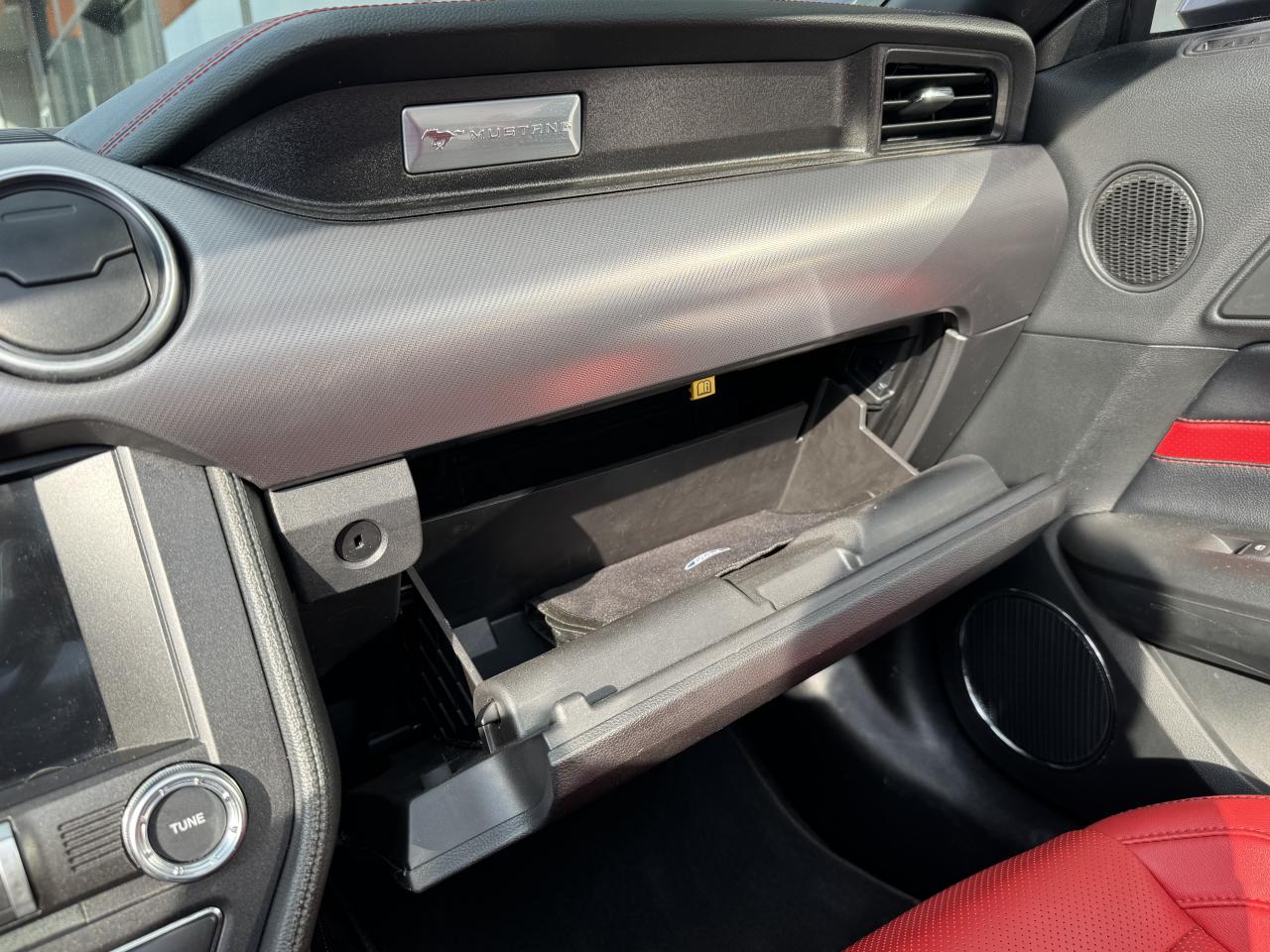FORD MUSTANG GT CABRIOLET V8 5.0L - PAS DE MALUS