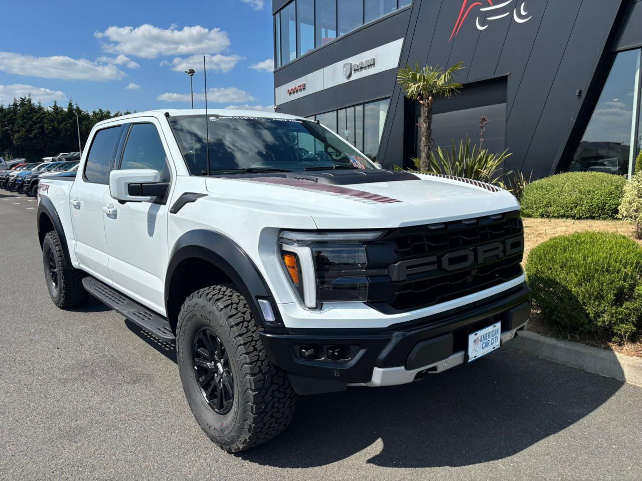 FORD F150 RAPTOR
