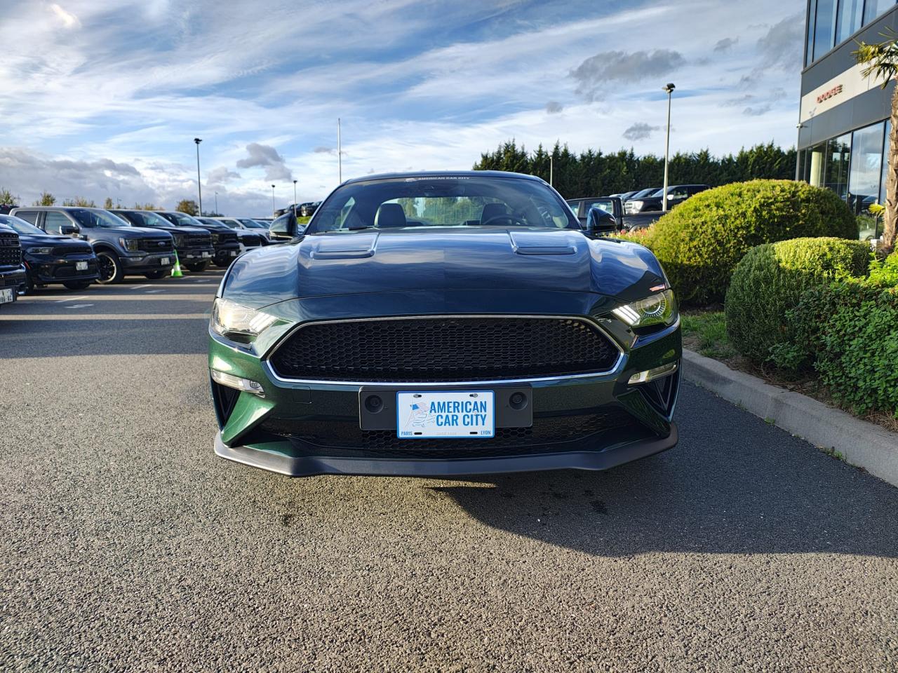 FORD MUSTANG Fastback 5.0 V8 - BULLITT - MAGNERIDE
