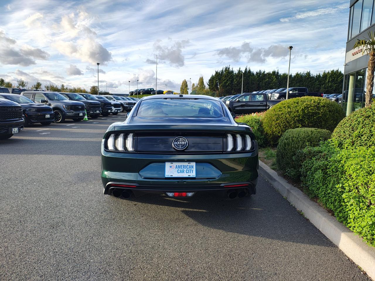 FORD MUSTANG Fastback 5.0 V8 - BULLITT - MAGNERIDE