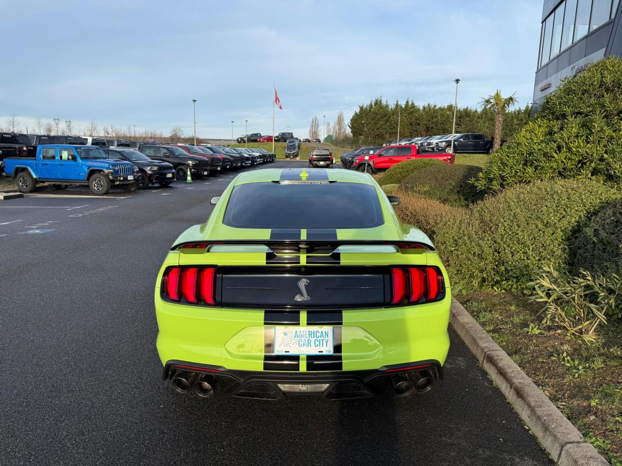 FORD MUSTANG Shelby GT500 V8 5.2L 760ch