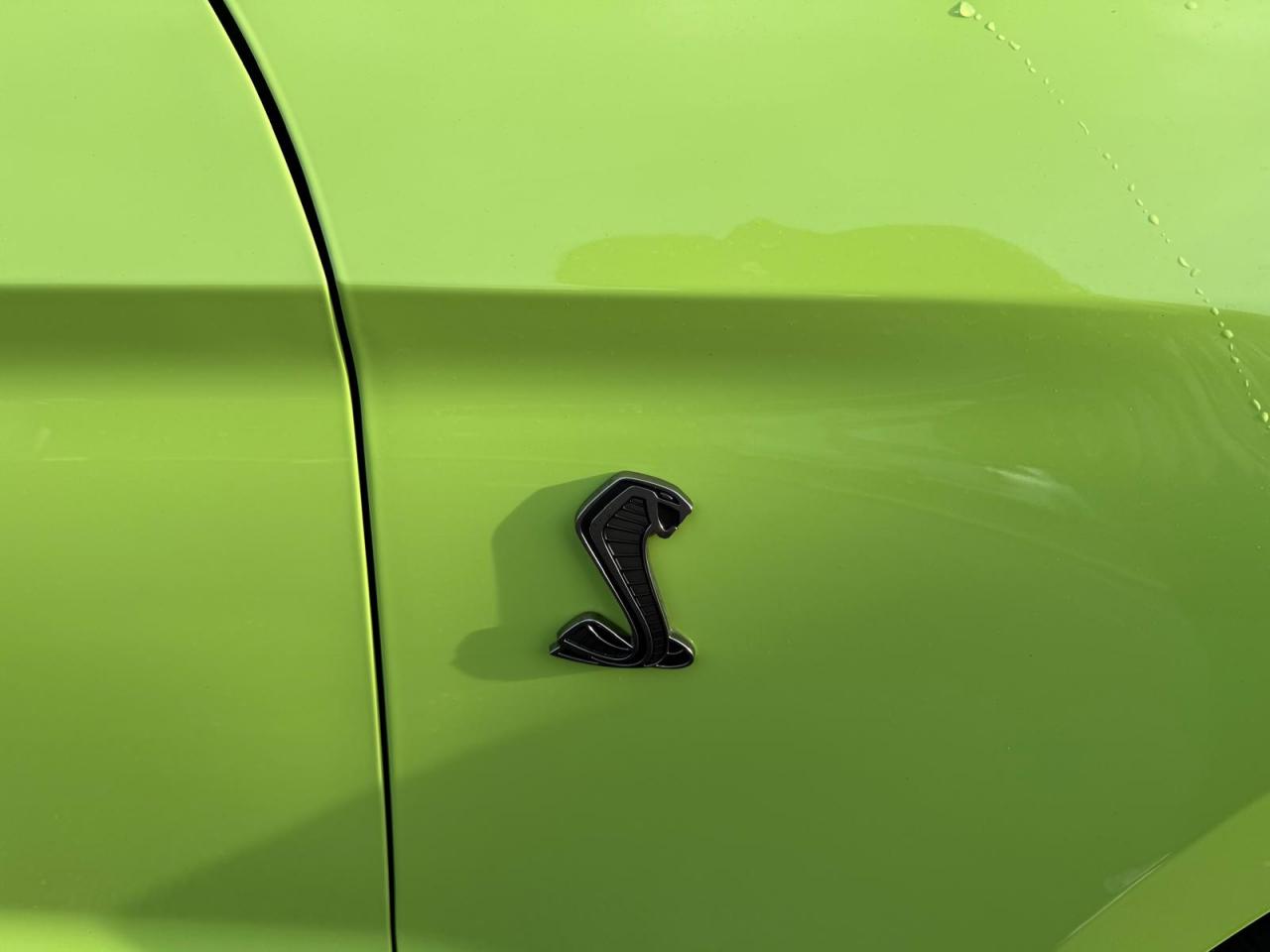 FORD MUSTANG Shelby GT500 V8 5.2L 760ch