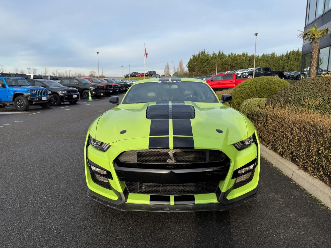 FORD MUSTANG Shelby GT500 V8 5.2L 760ch