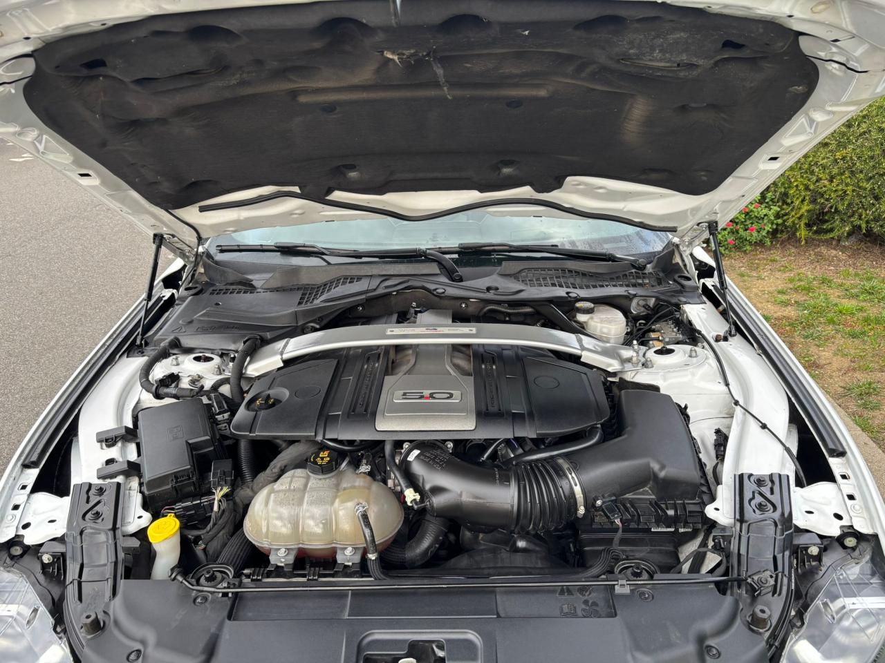 FORD MUSTANG GT Fastback V8 5.0L BVM