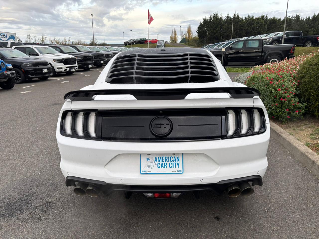 FORD MUSTANG GT Fastback V8 5.0L BVM