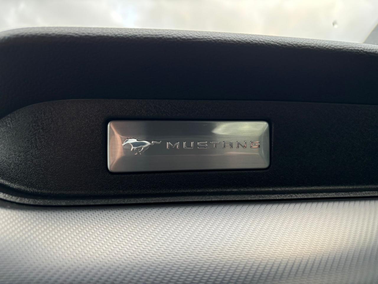 FORD MUSTANG GT Fastback V8 5.0L BVM