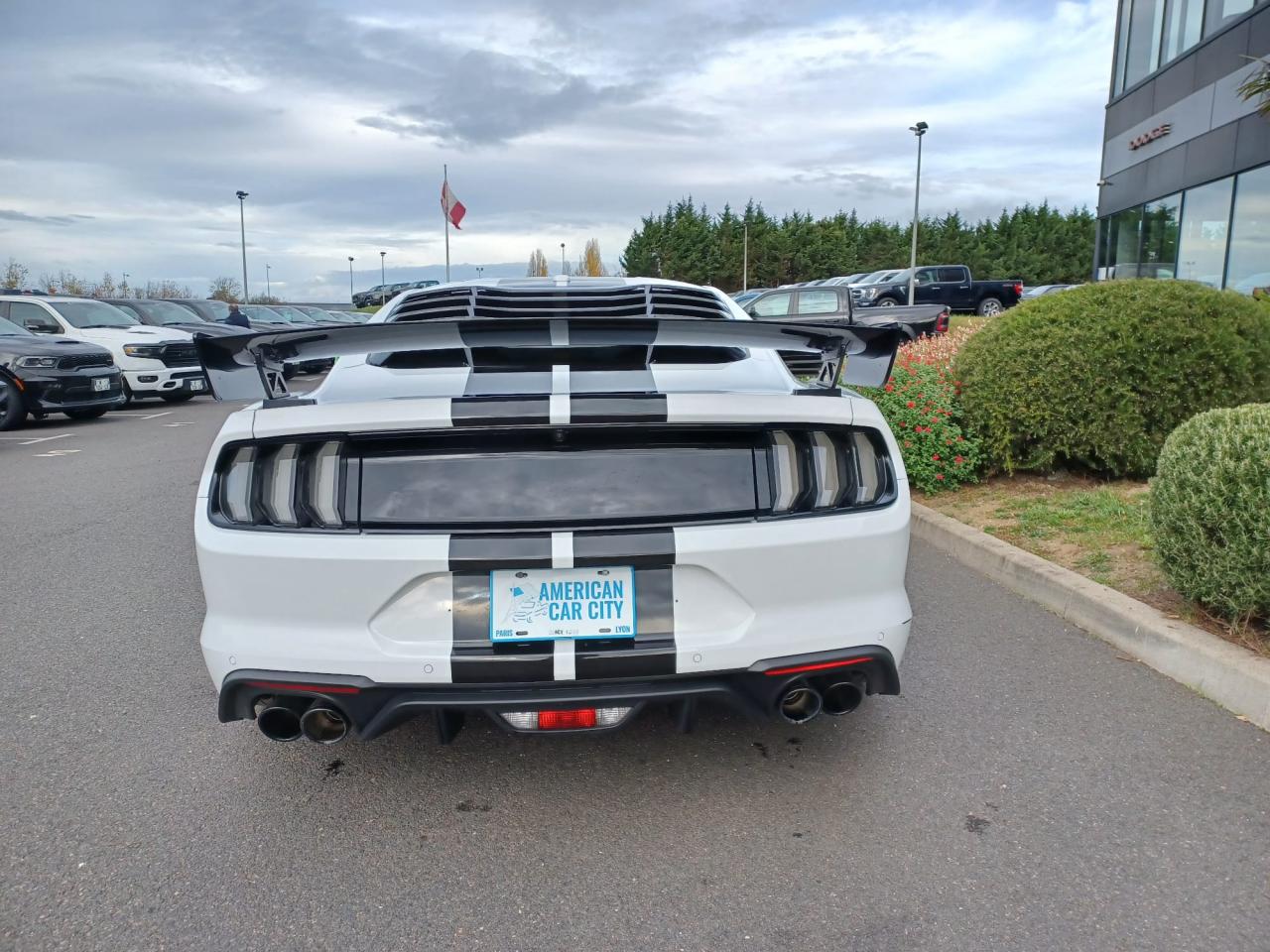 FORD MUSTANG GT Fastback V8 5.0L BVM