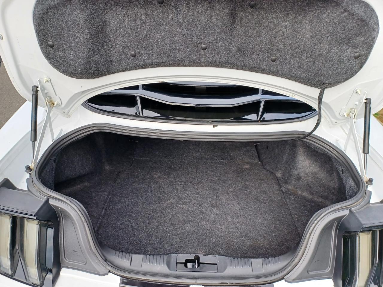 FORD MUSTANG GT Fastback V8 5.0L BVM