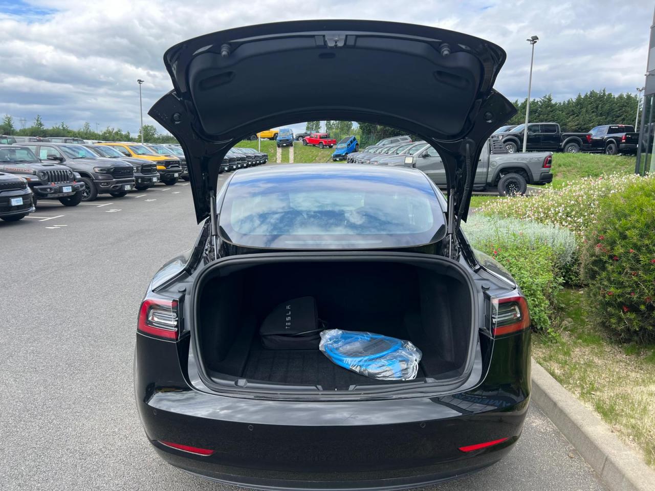 TESLA MODEL 3 Standard Plus RWD