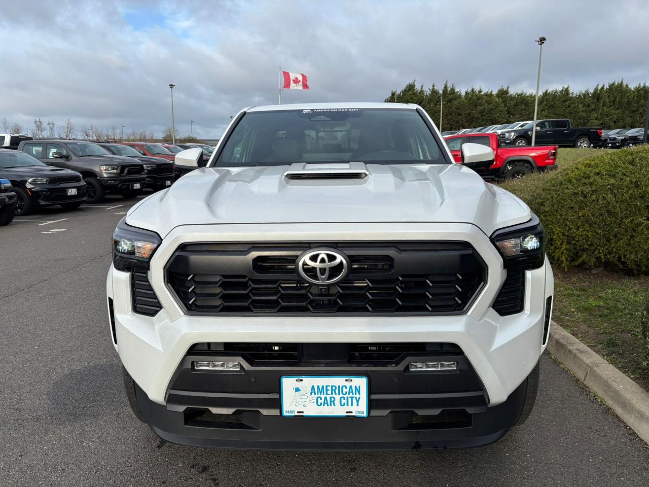 TOYOTA TACOMA TRD SPORT PREMIUM
